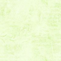 ttJN-CD3838 SPEARMINT
